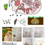 うちのうさぎのキモチがわかる本
2016、2017 うちのうさぎのキモチがわかる本